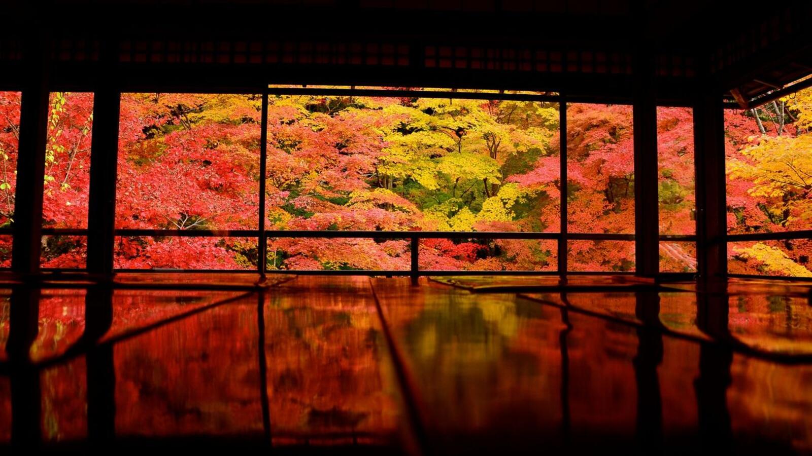 桌面上的壁纸日本 京都 亚洲