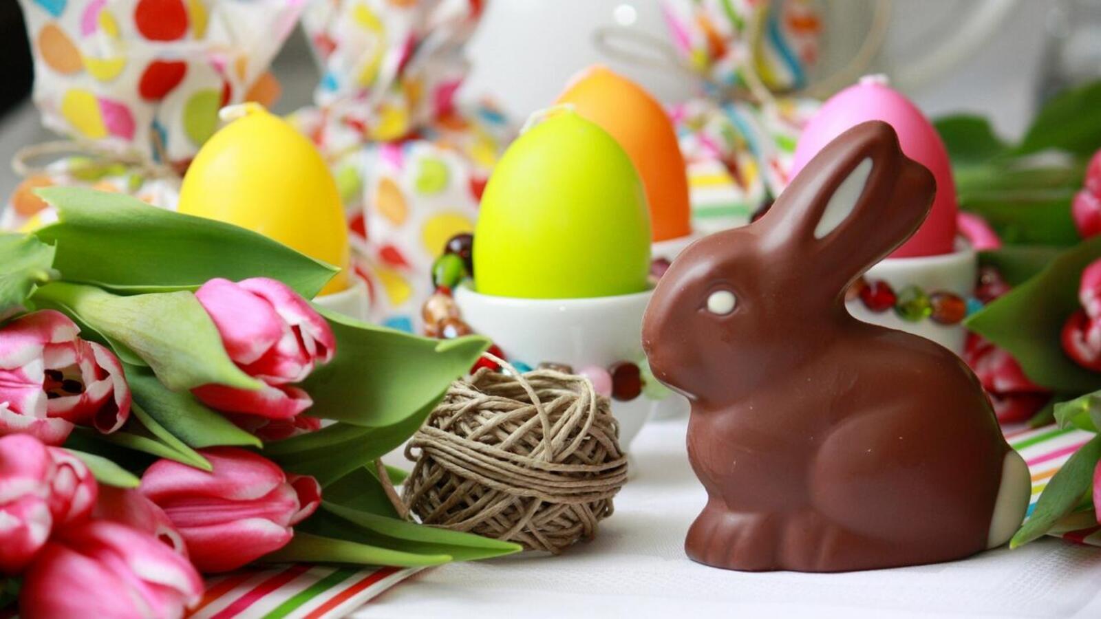 Обои яйца кролик тюльпаны на рабочий стол