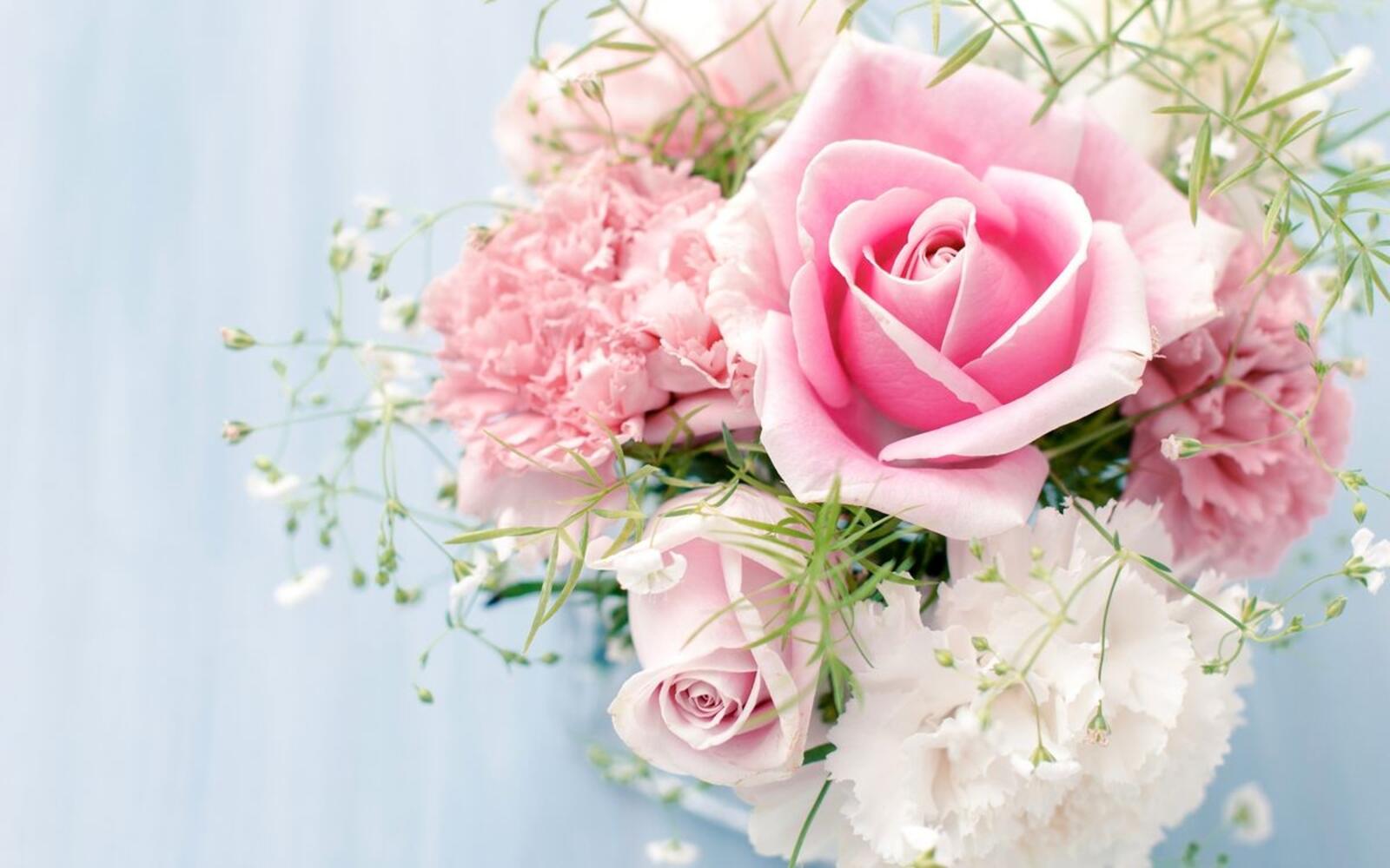 桌面上的壁纸粉红玫瑰 花束 康乃馨