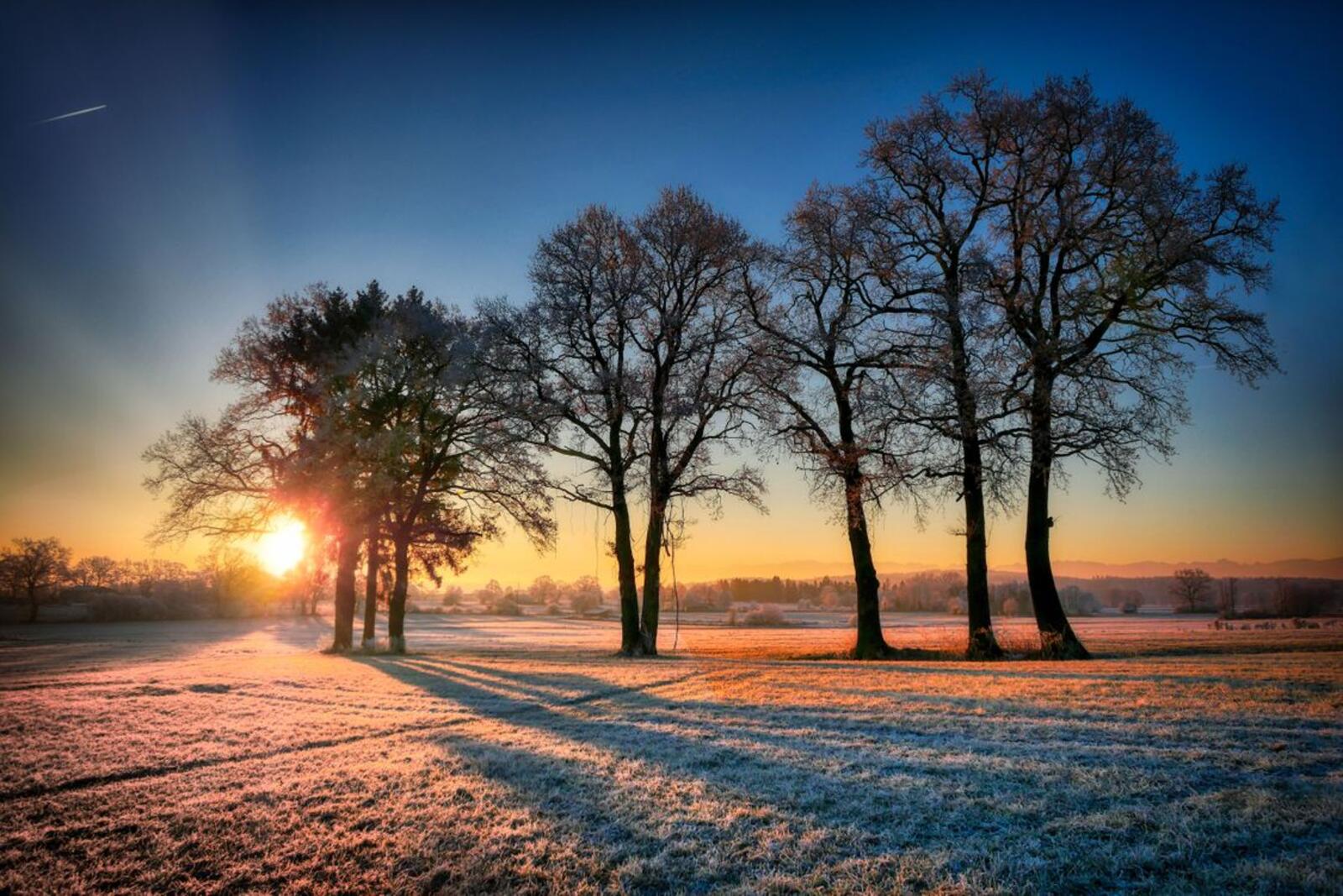 Wallpapers sunrise winter cold on the desktop