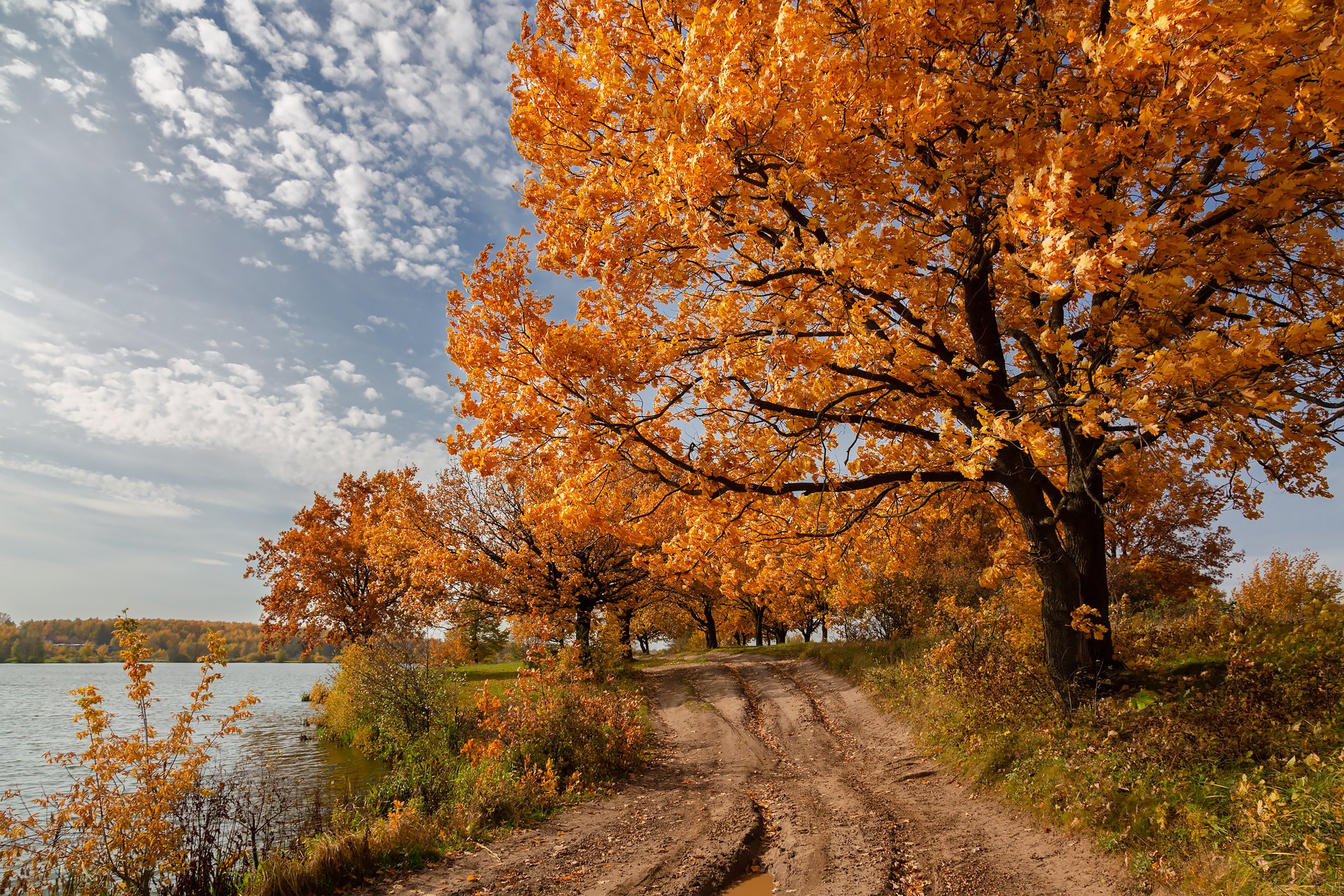 免费照片阳光明媚的秋季风景