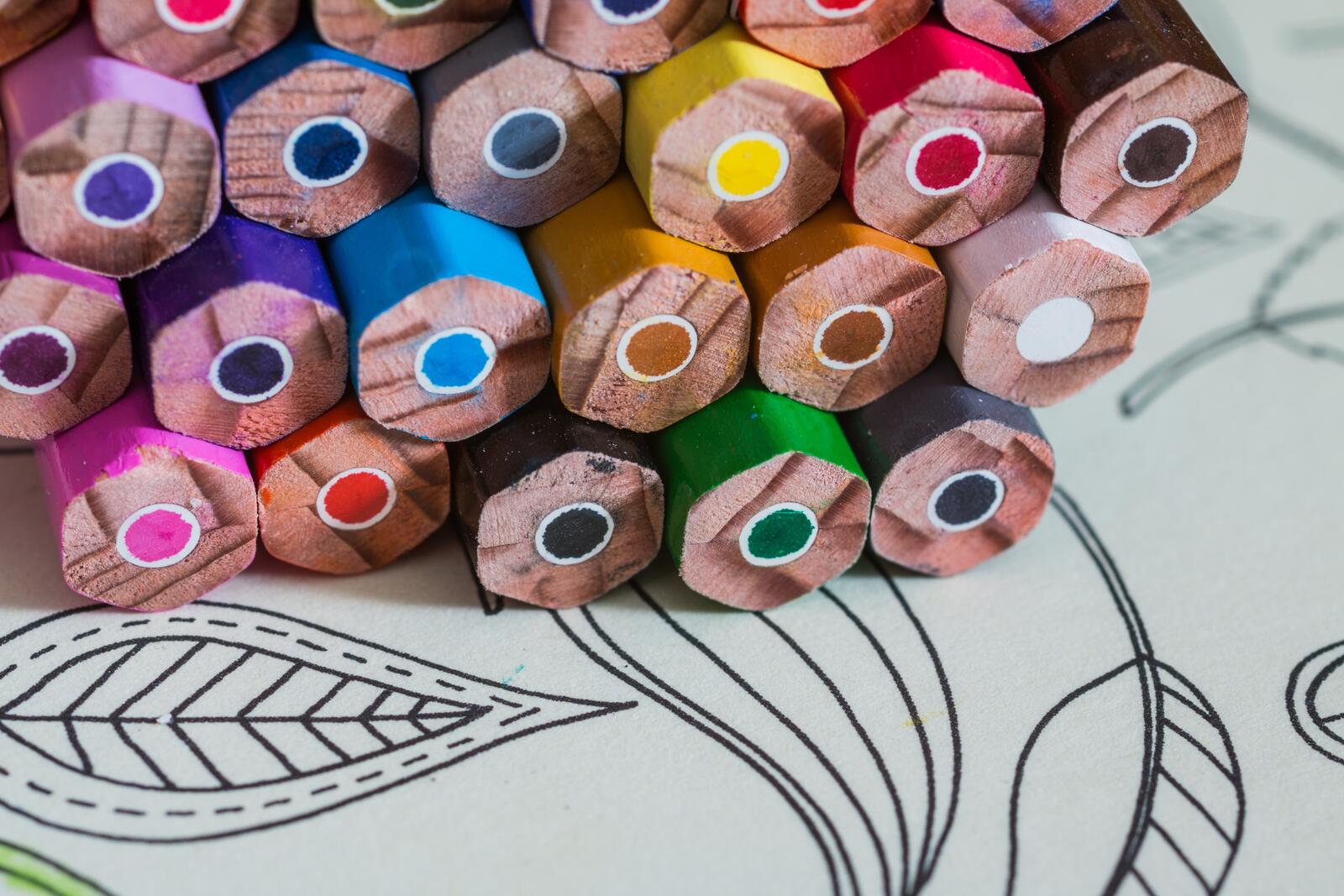 Цветные карандаши разных оттенков