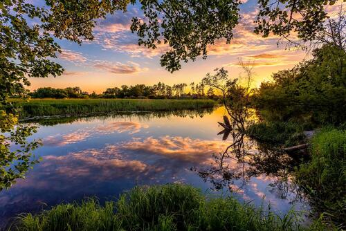 Photo sunset, river, trees in good quality