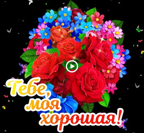 bouquet of flowers roses congratulations