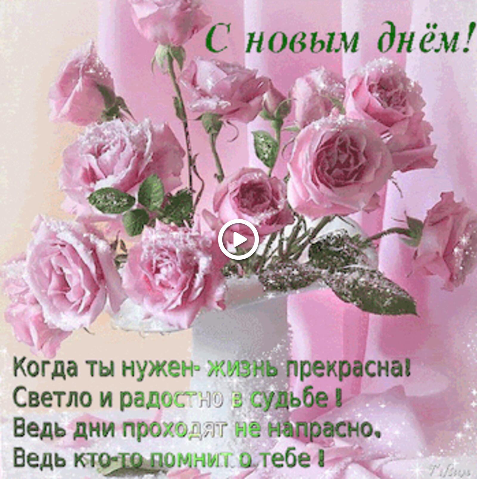 A postcard on the subject of bouquet of roses pink roses happy new day for free