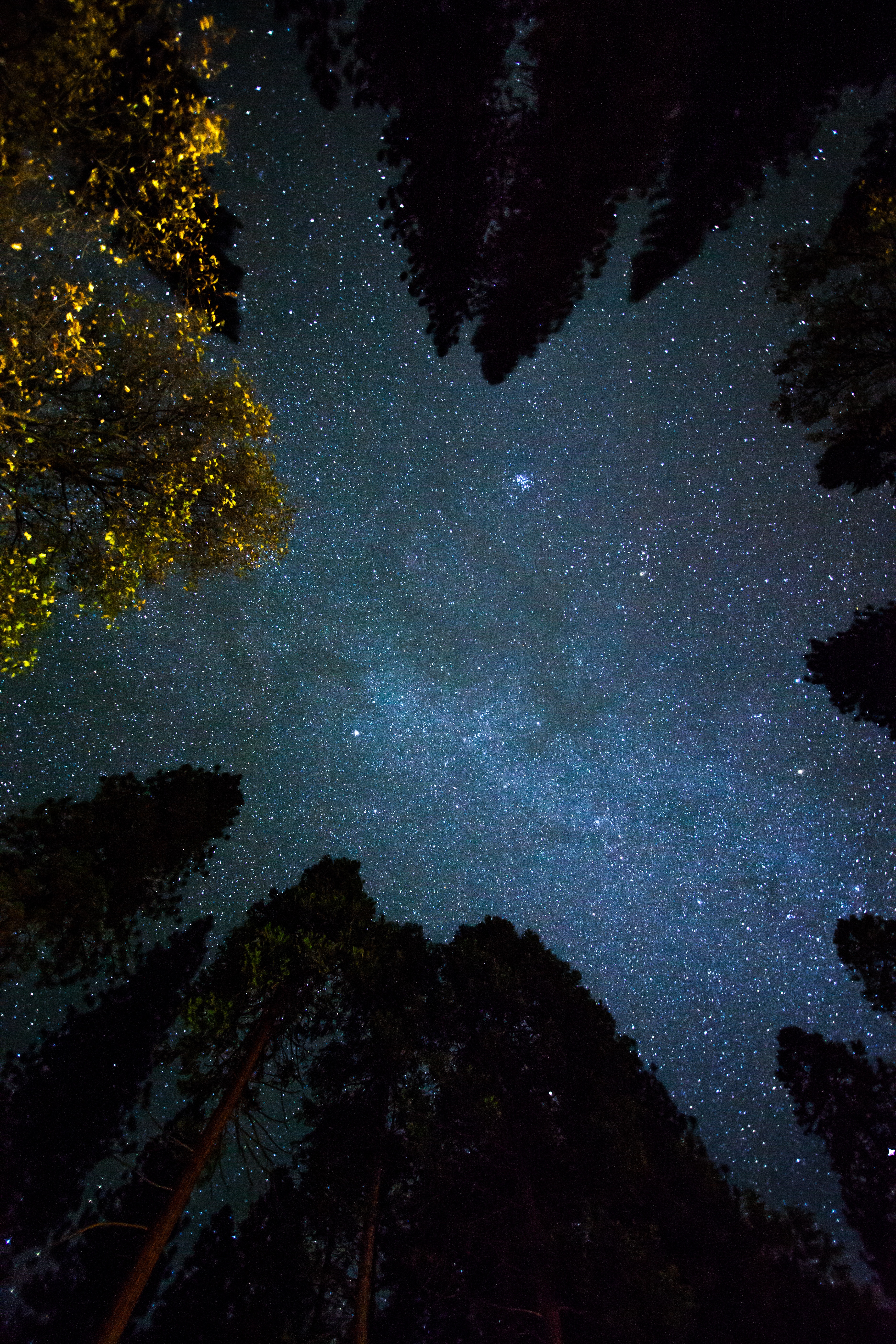 Фото бесплатно галактика, дерево, атмосфера