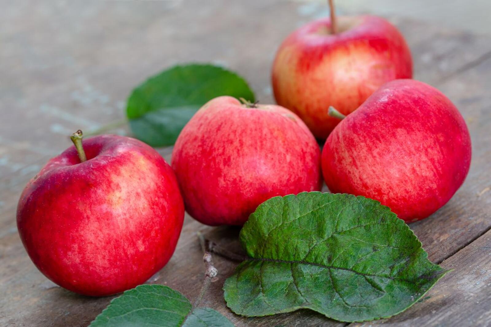 Бесплатное фото Красные яблоки
