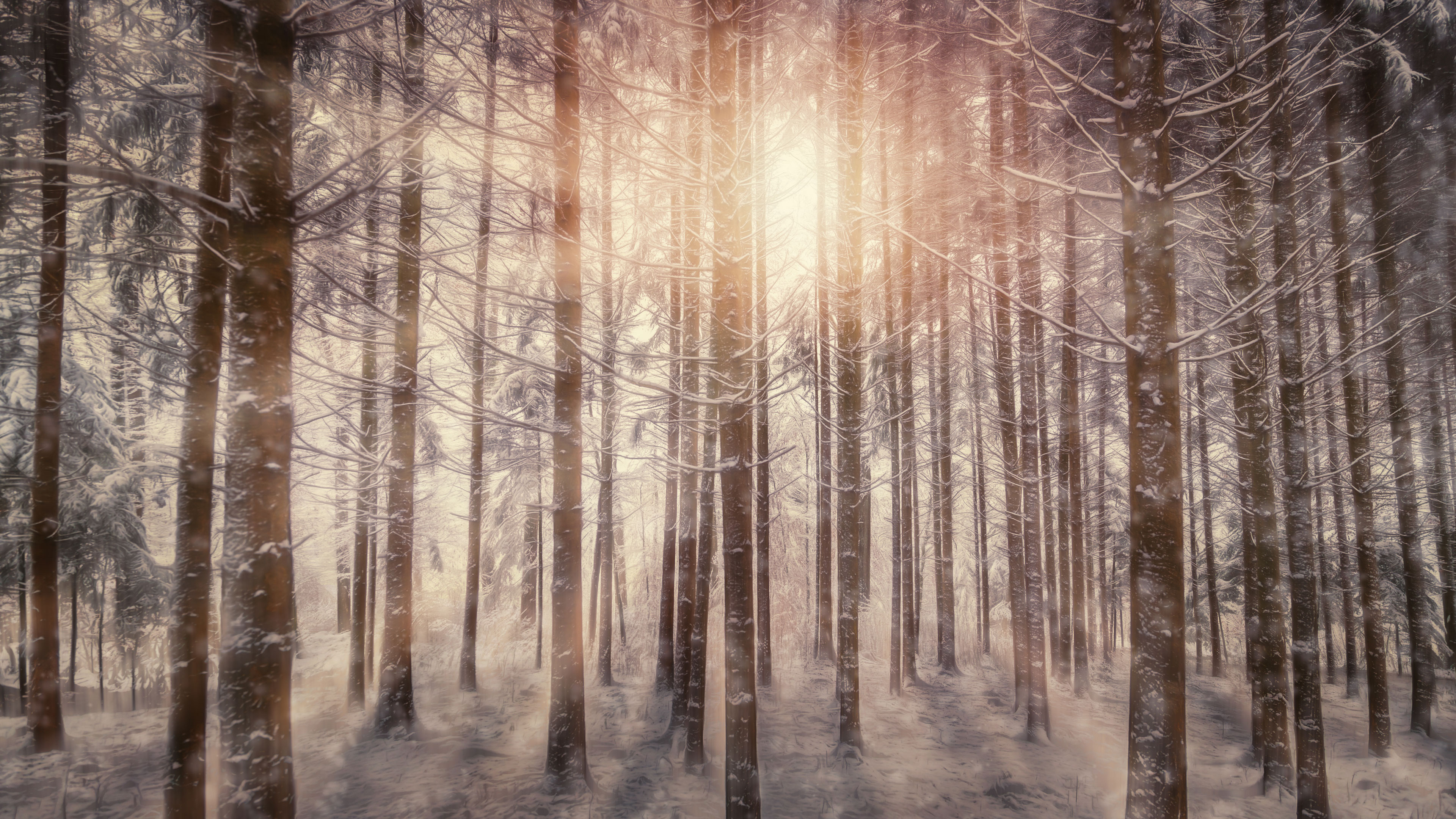 Фото бесплатно солнечный луч, природа, снег