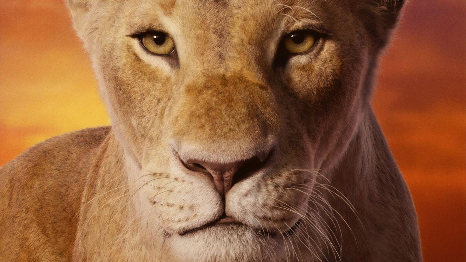 Wallpapers Simba movies lion king on the desktop