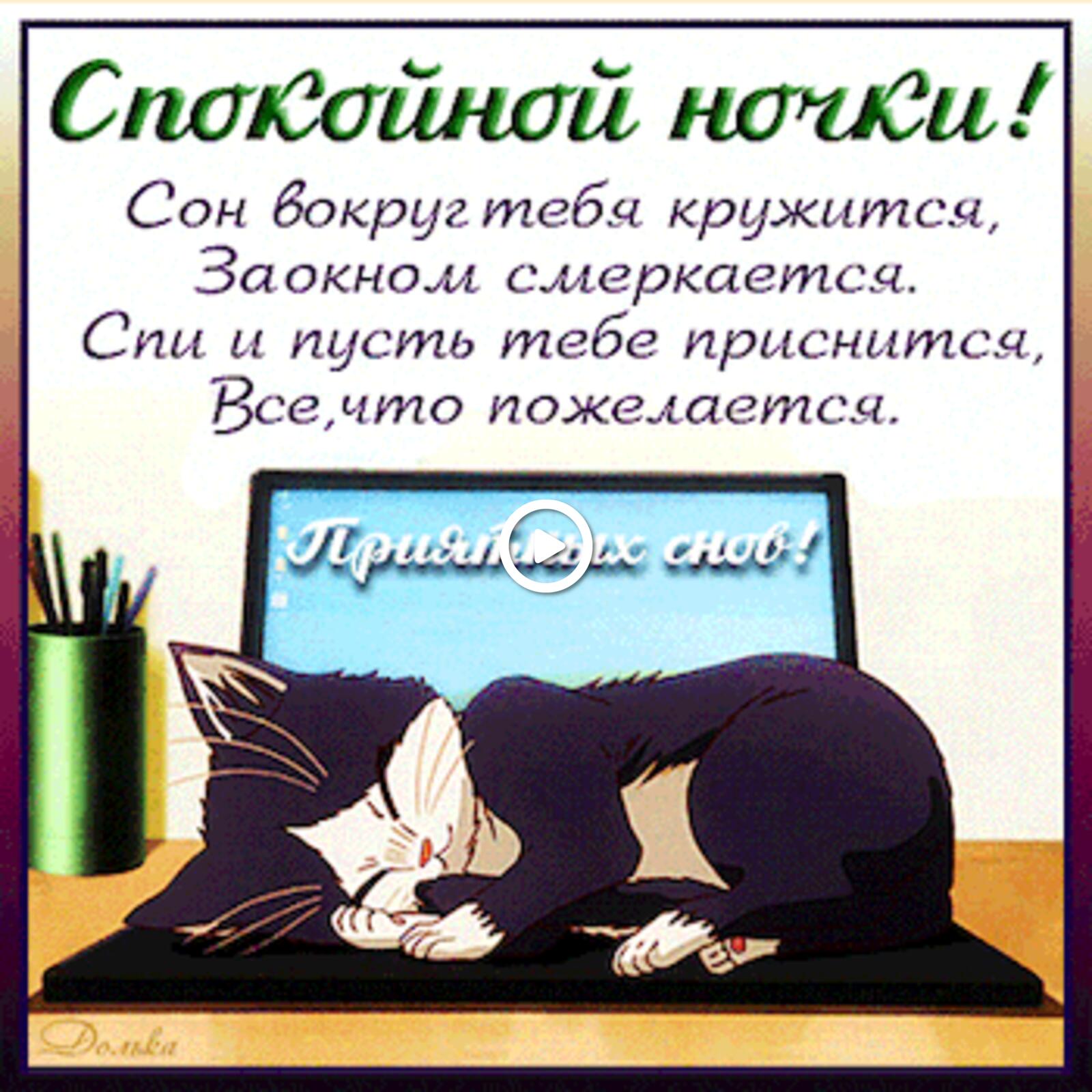 一张以晚安 晚安卡 小猫为主题的明信片