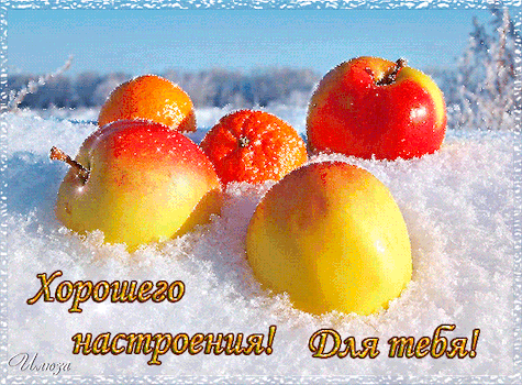 Postcard card have a nice day and good mood winter pictures have a good winter day and a great mood pictures good morning and good mood winter greeting cards - free greetings on Fonwall