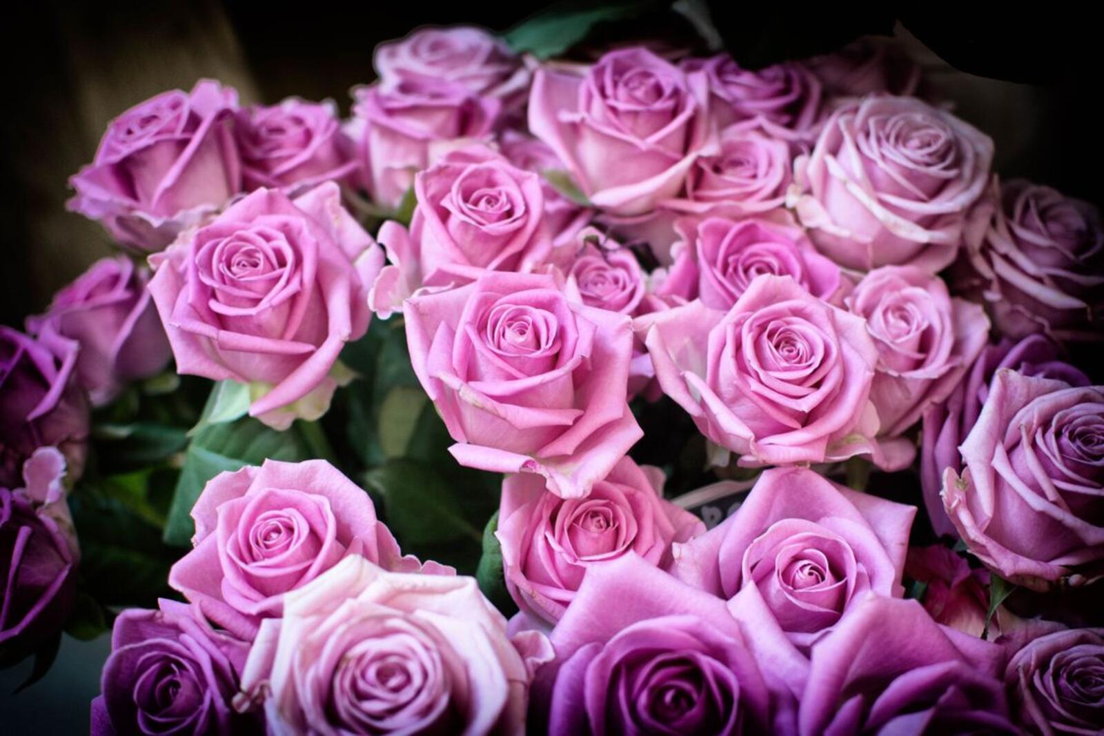 Обои большой букет розы розовый букет на рабочий стол