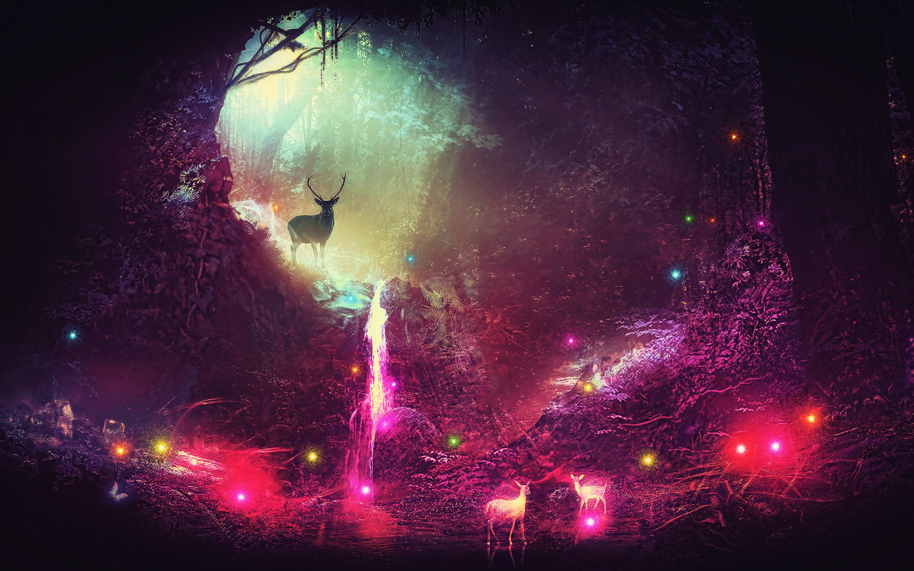 Wallpapers deer Forest shiny colors on the desktop