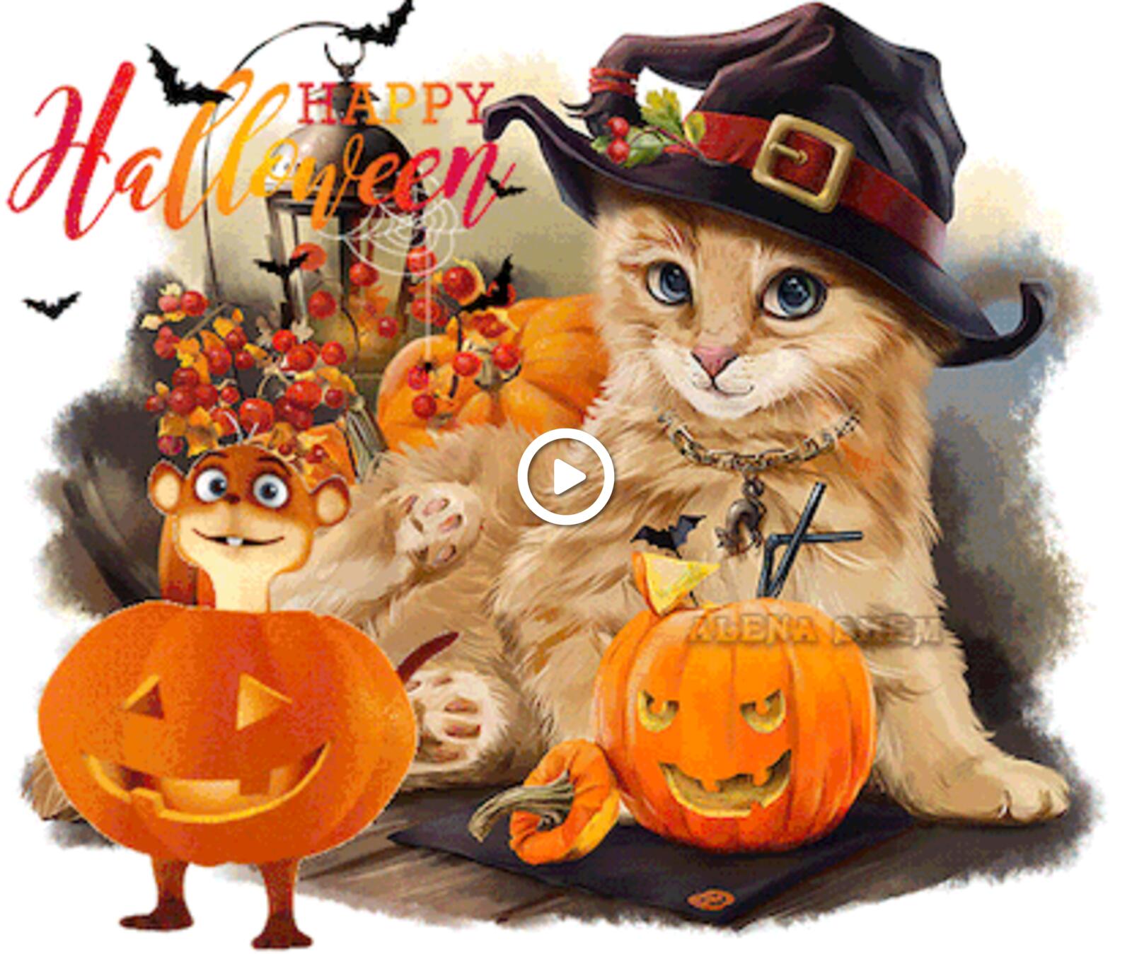 A postcard on the subject of Halloween cat pumpkins for free