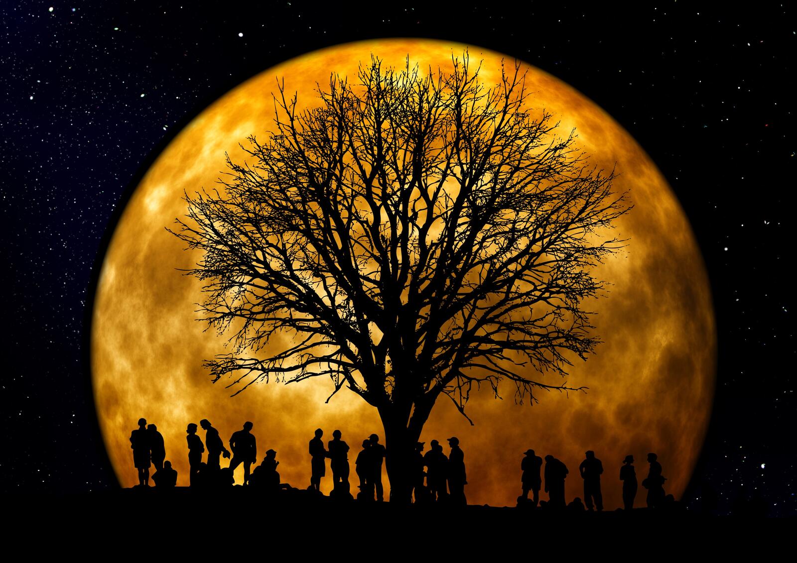 Free photo Silhouette of a tree without leaves on the background of the yellow moon