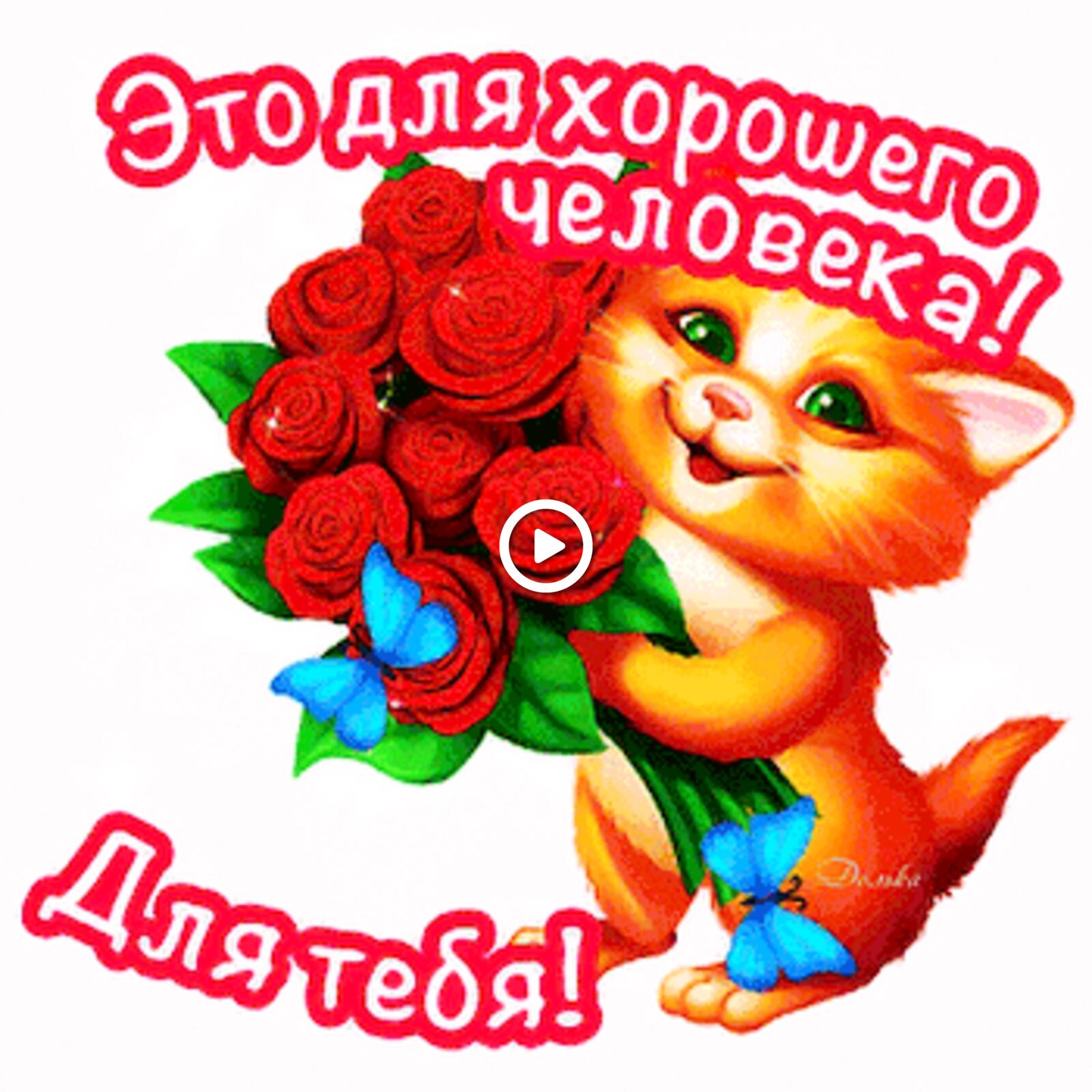 A postcard on the subject of for you flowers bouquet of roses for free