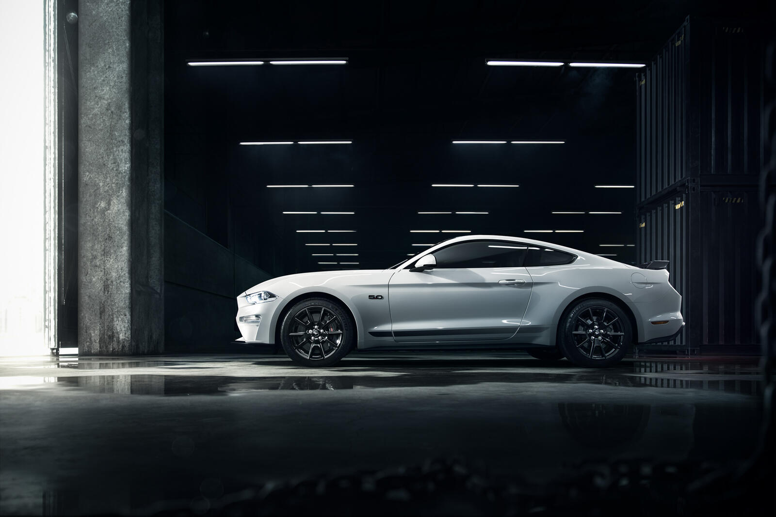 Wallpapers Ford Mustang silvery coupe on the desktop