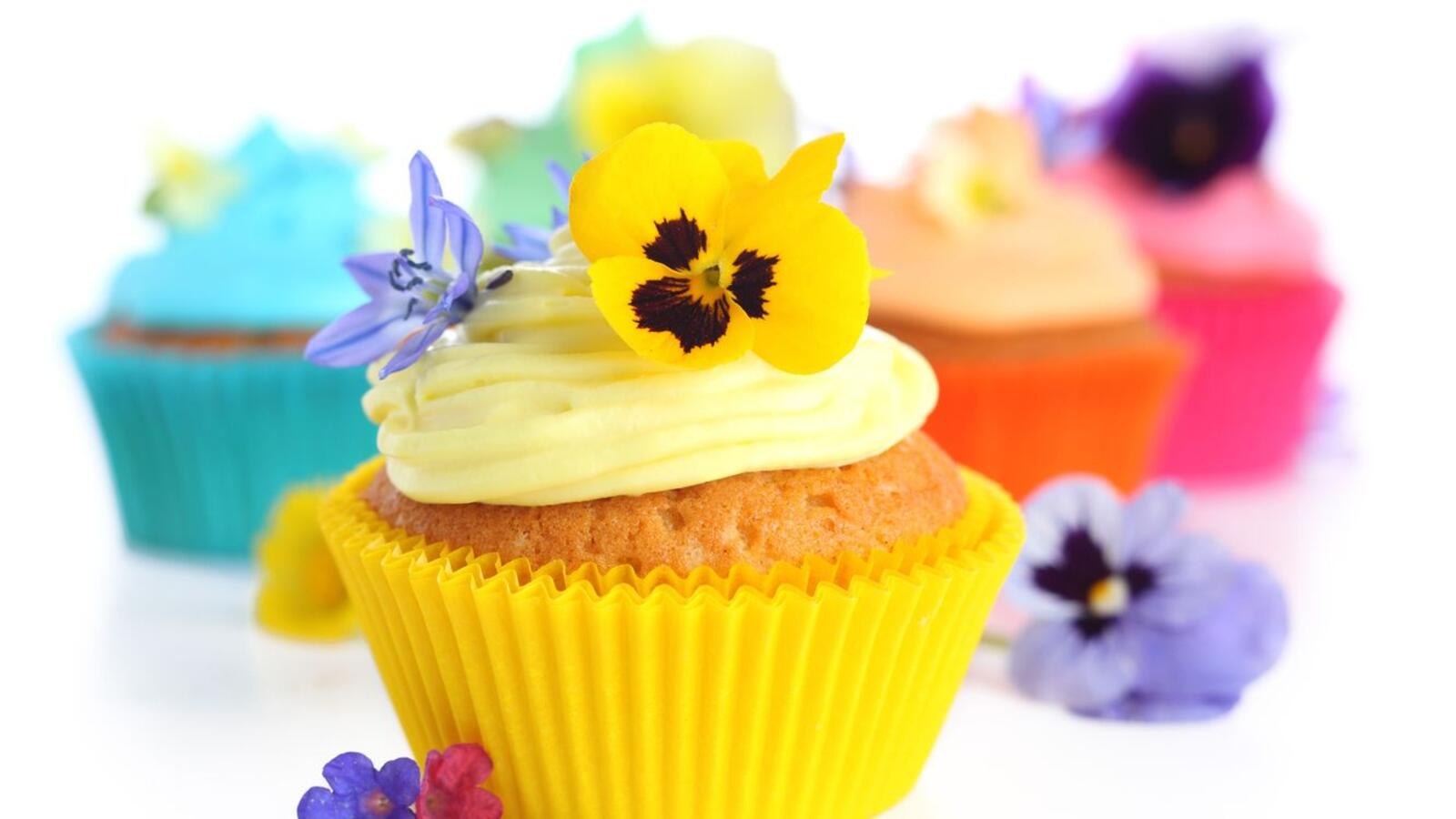 Wallpapers decoration pastry cupcakes on the desktop