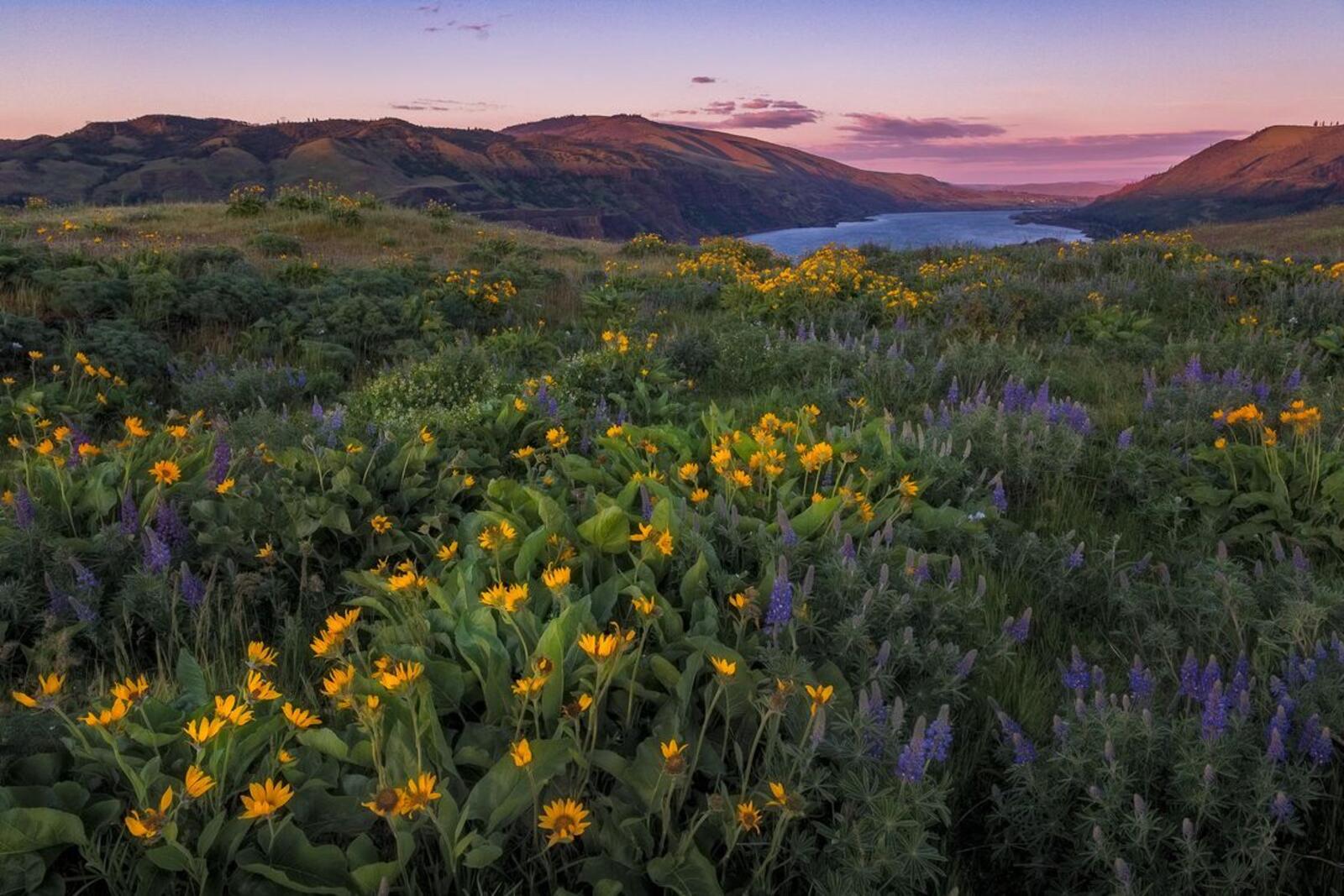 Wallpapers Columbia River Gorge Oregon sunset on the desktop