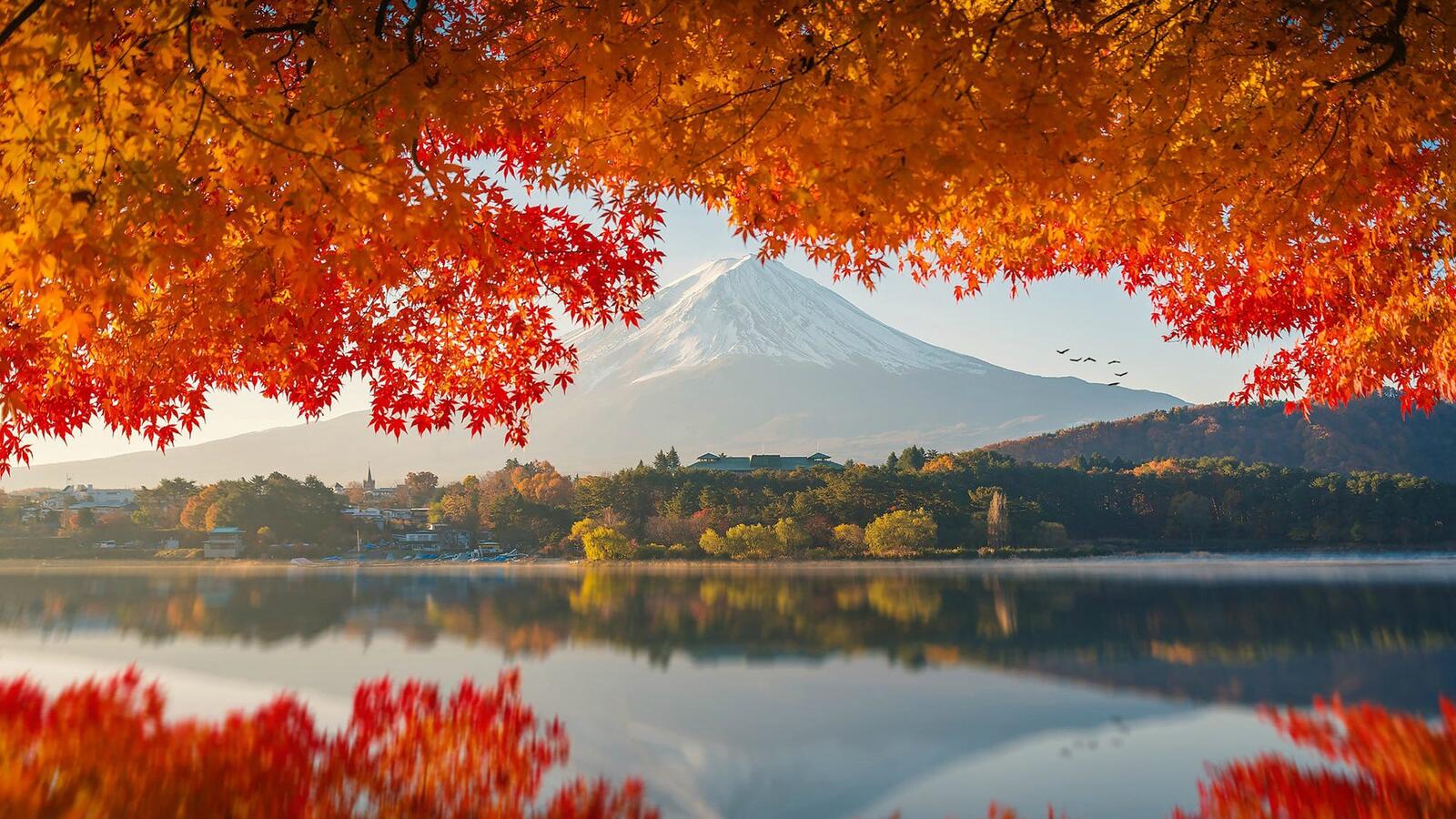 Обои Япония гора Фудзи фотографии на рабочий стол