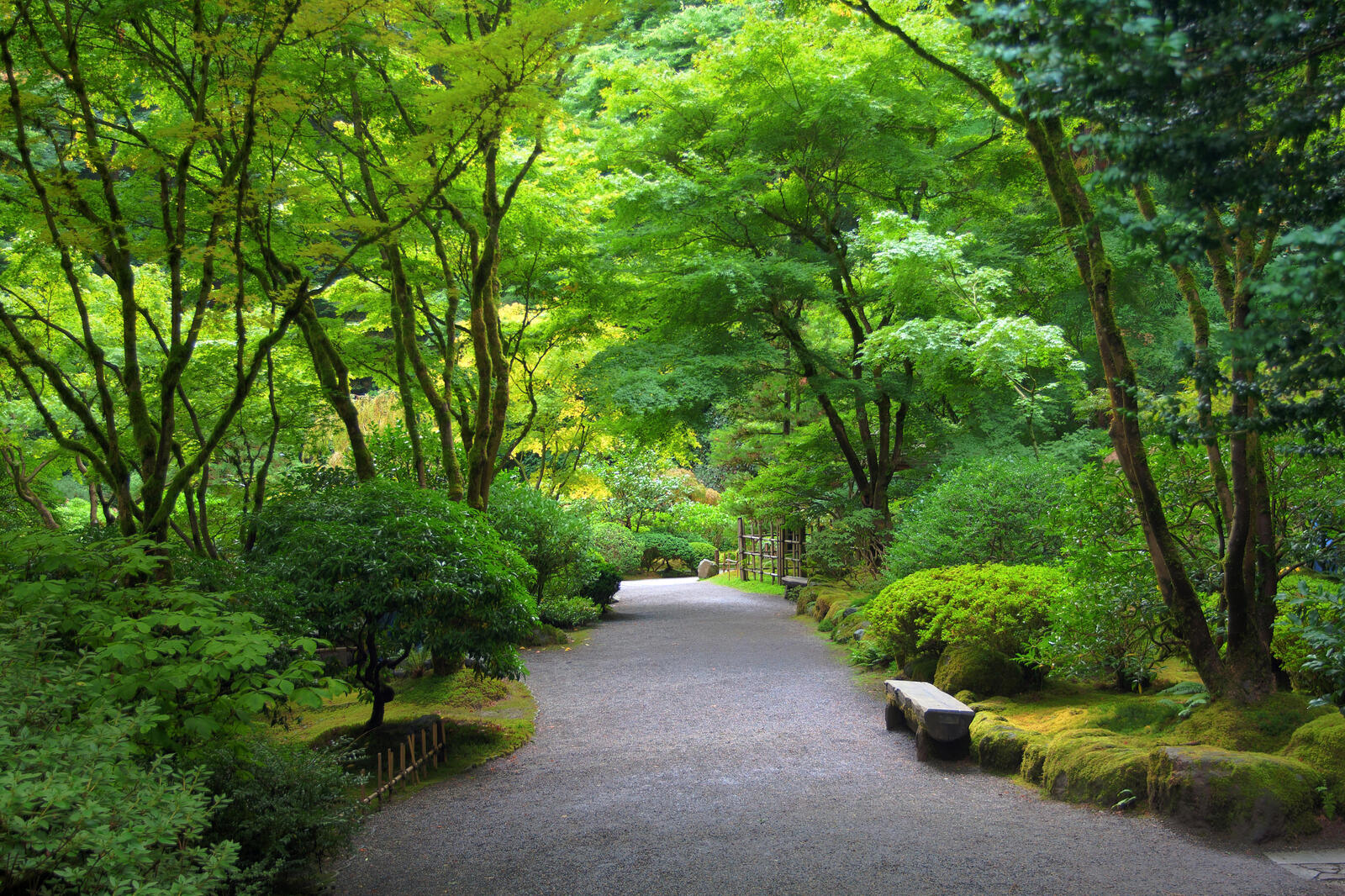 Wallpapers Japanese garden park path on the desktop