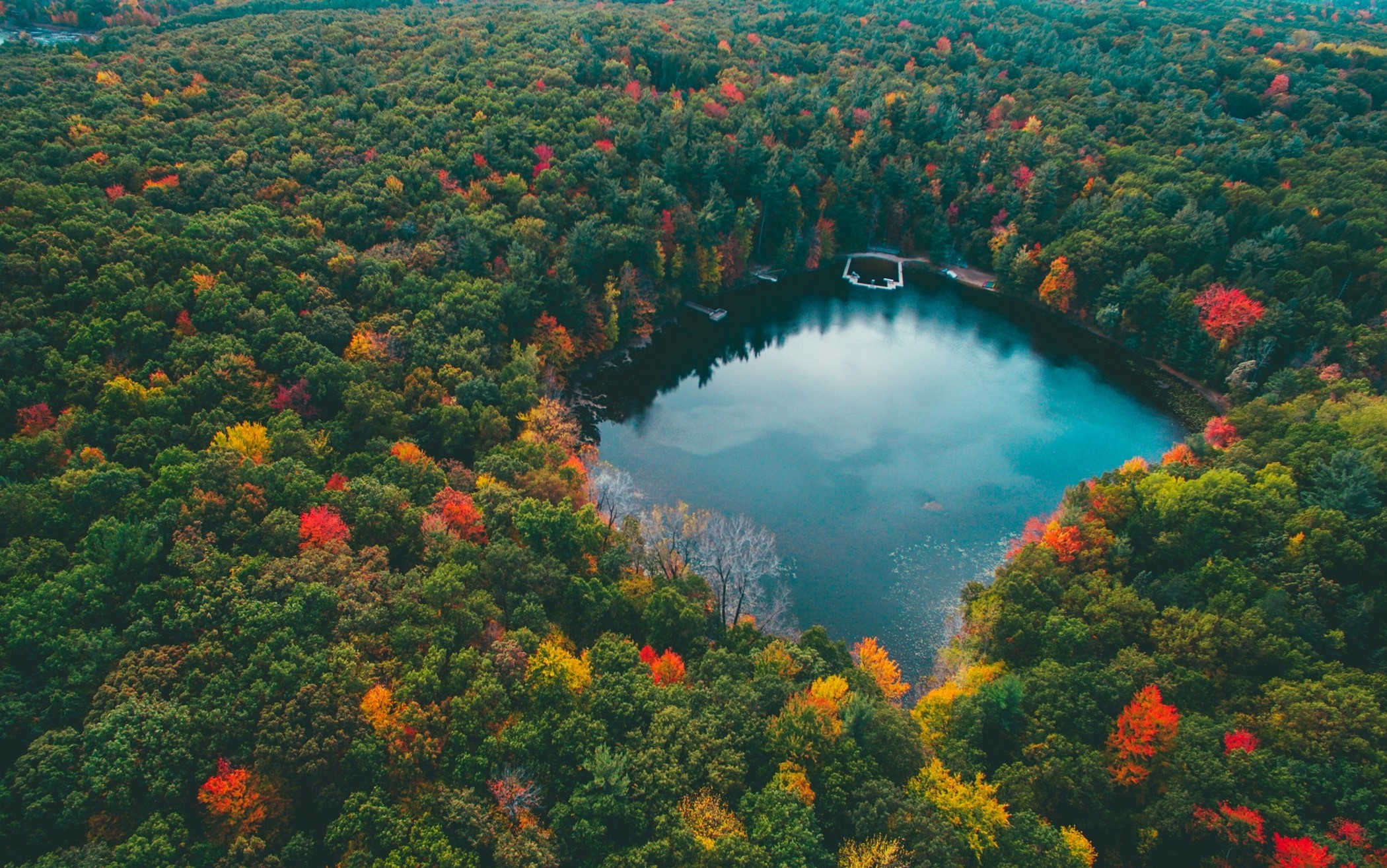 A lake deep in the woods