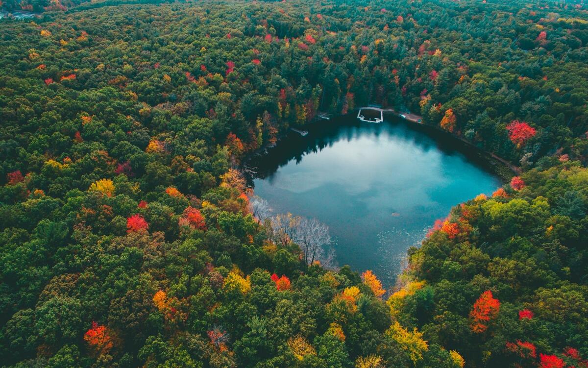 Озеро глубоко в лесу