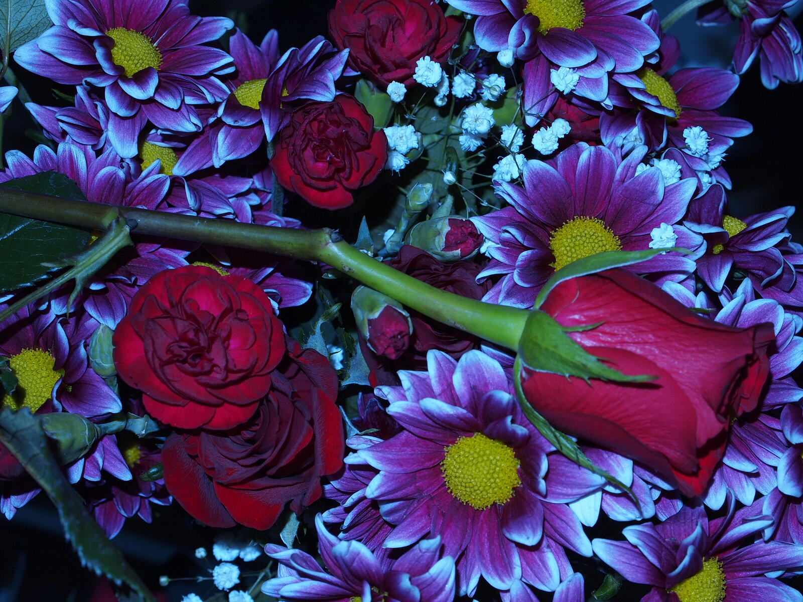 Обои хризантема роза красивый букет на рабочий стол