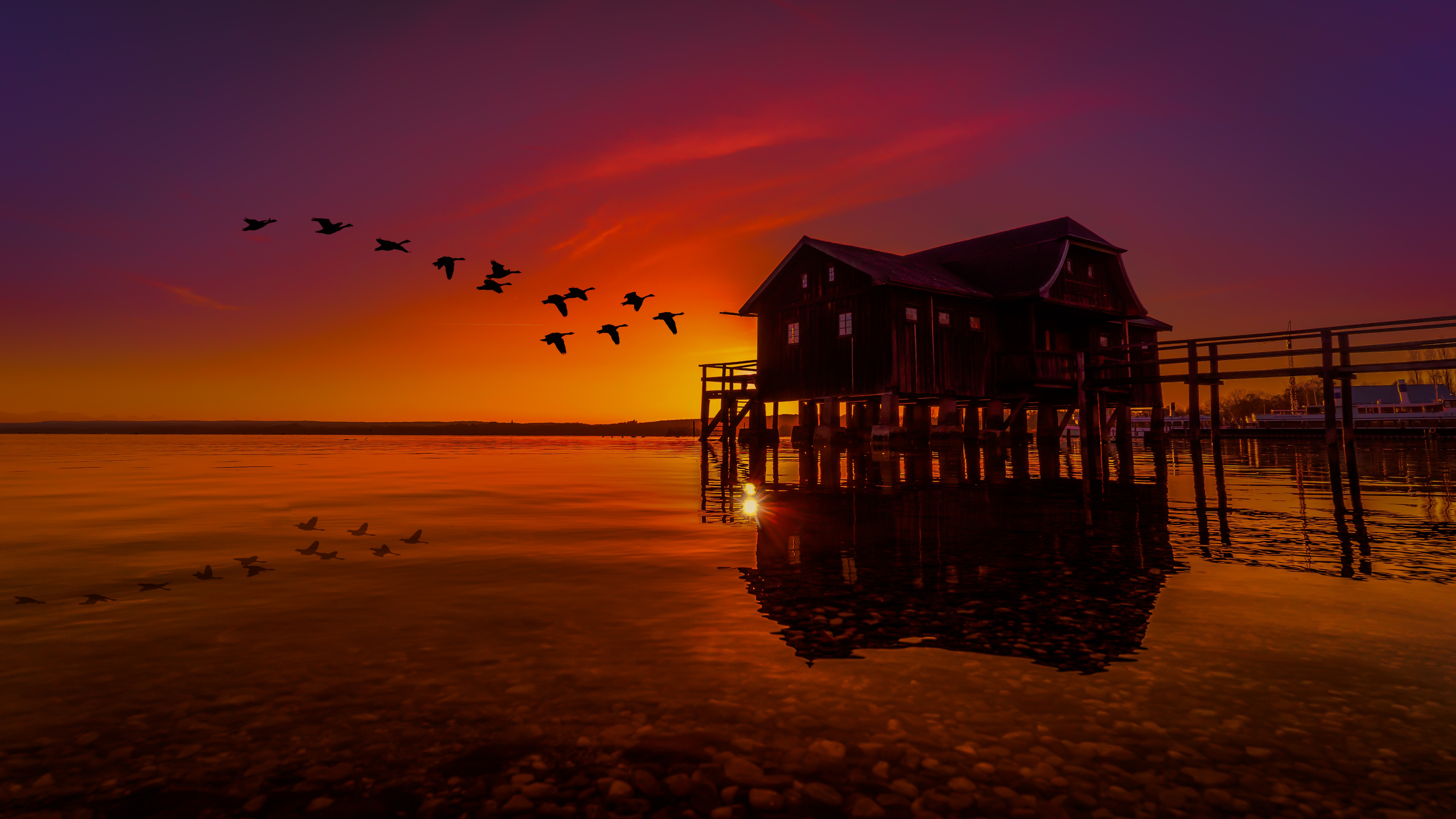 夕阳下的仙鹤飞过海边的老房子