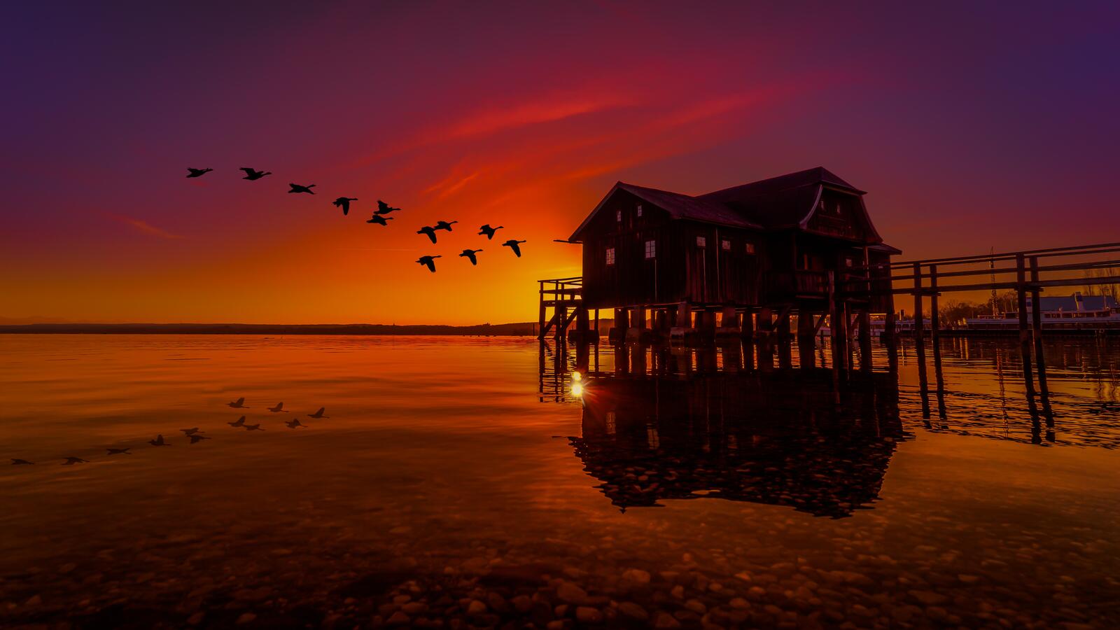 Бесплатное фото Журавли на закате пролетают над старинным домом на берегу моря