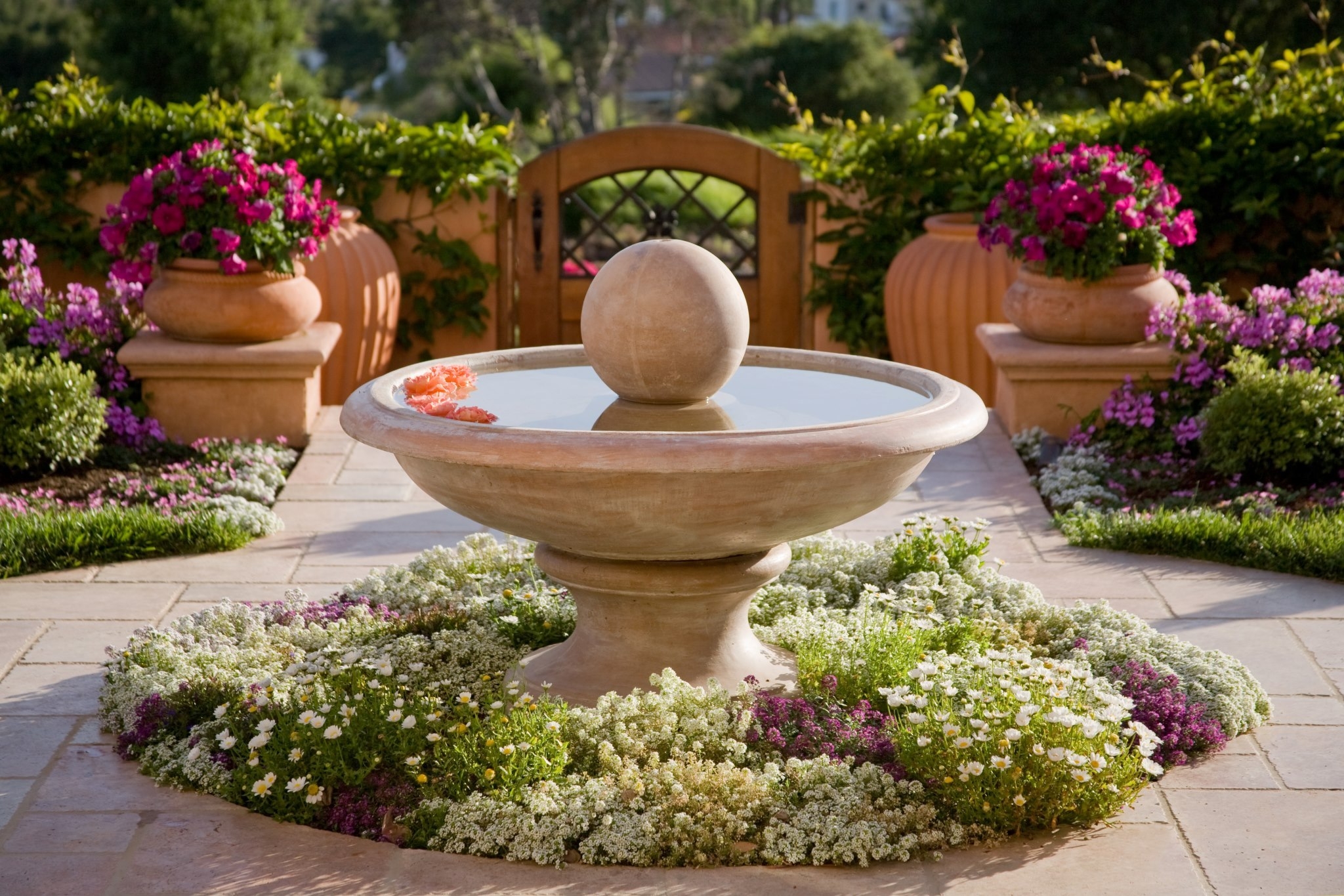 Wallpapers flower pot botany water feature on the desktop