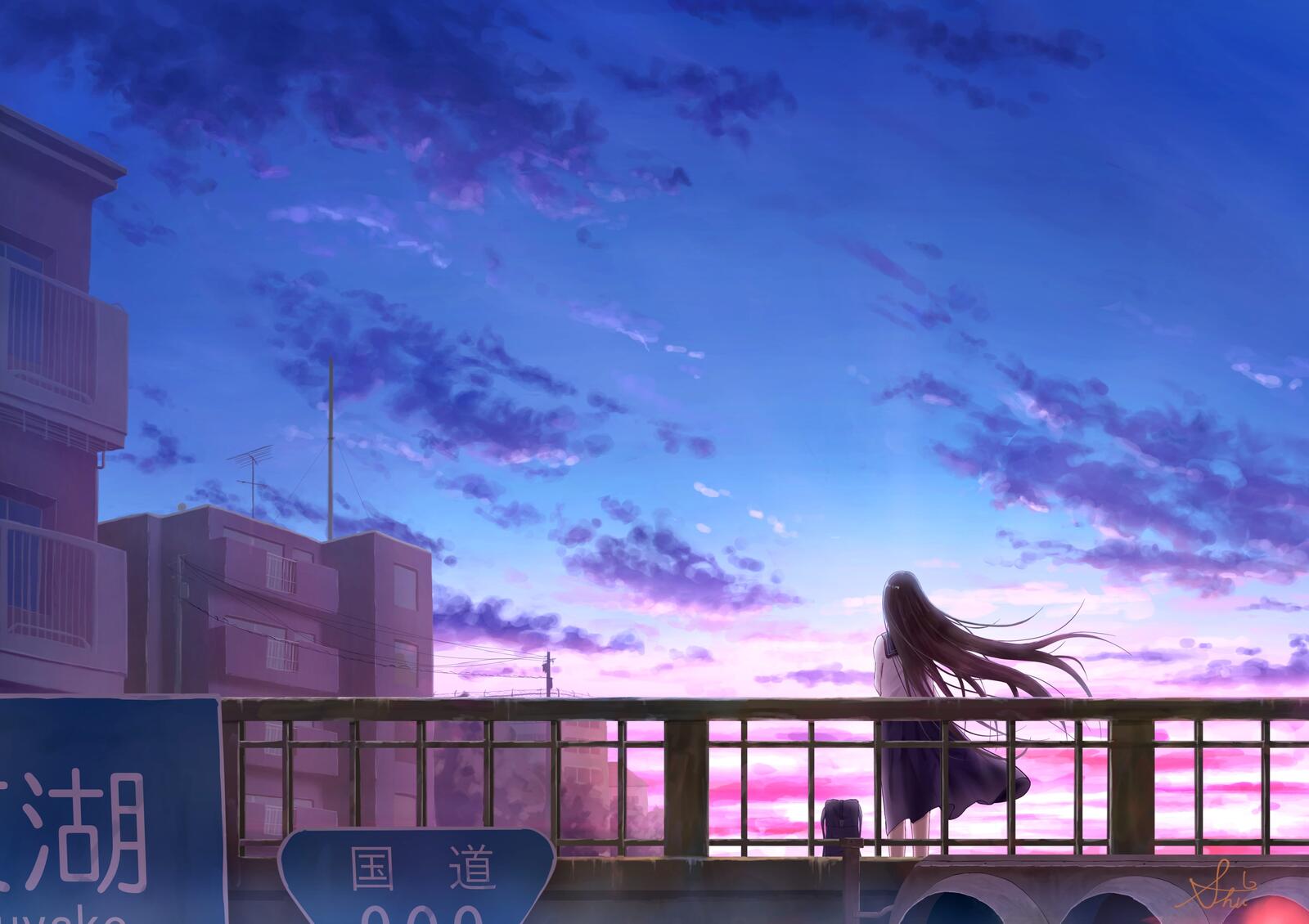 Wallpapers girl anime dawn on the desktop