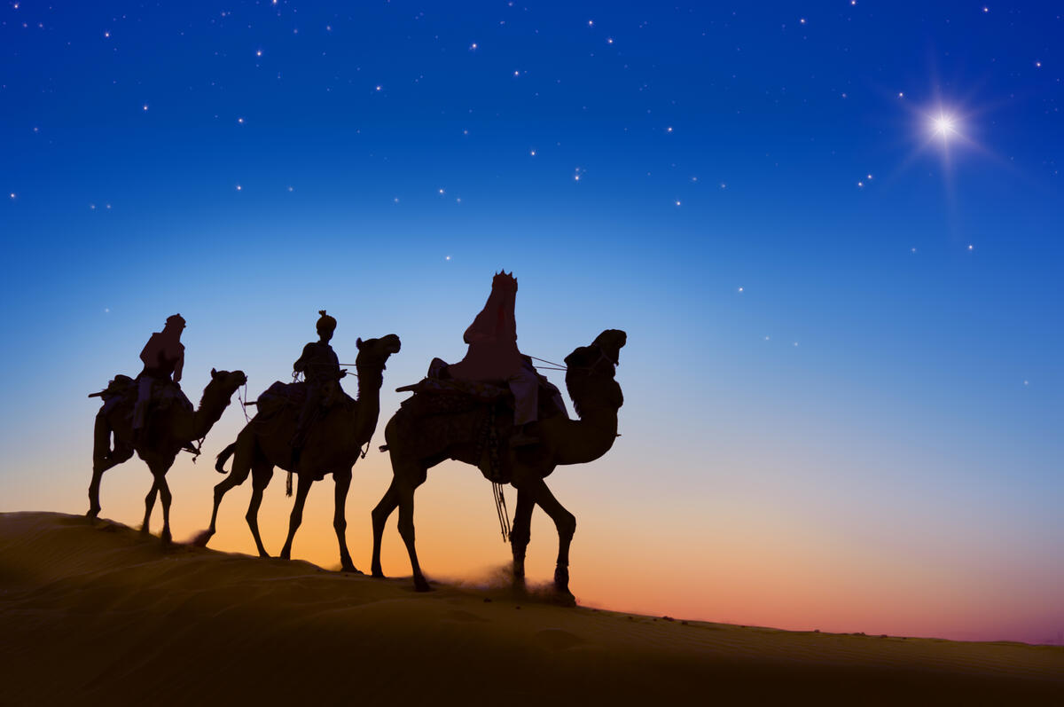 The silhouette of camels against the sky