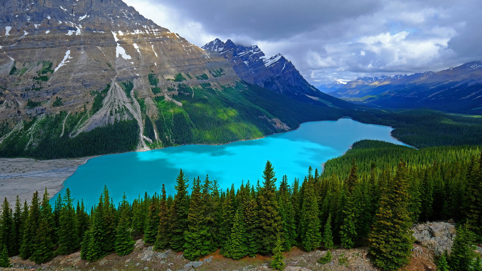 Wallpapers the forest isPeyto Lake and lakes Landscape Banff National Park on the desktop