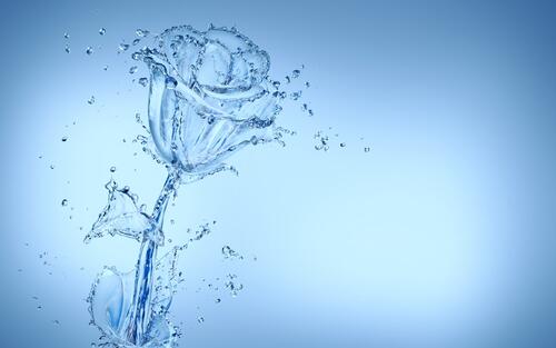 Вода в форме розы