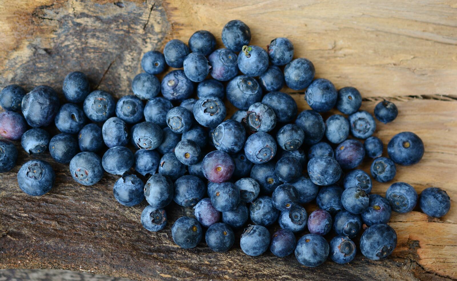 桌面上的壁纸蓝莓 浆果 成熟