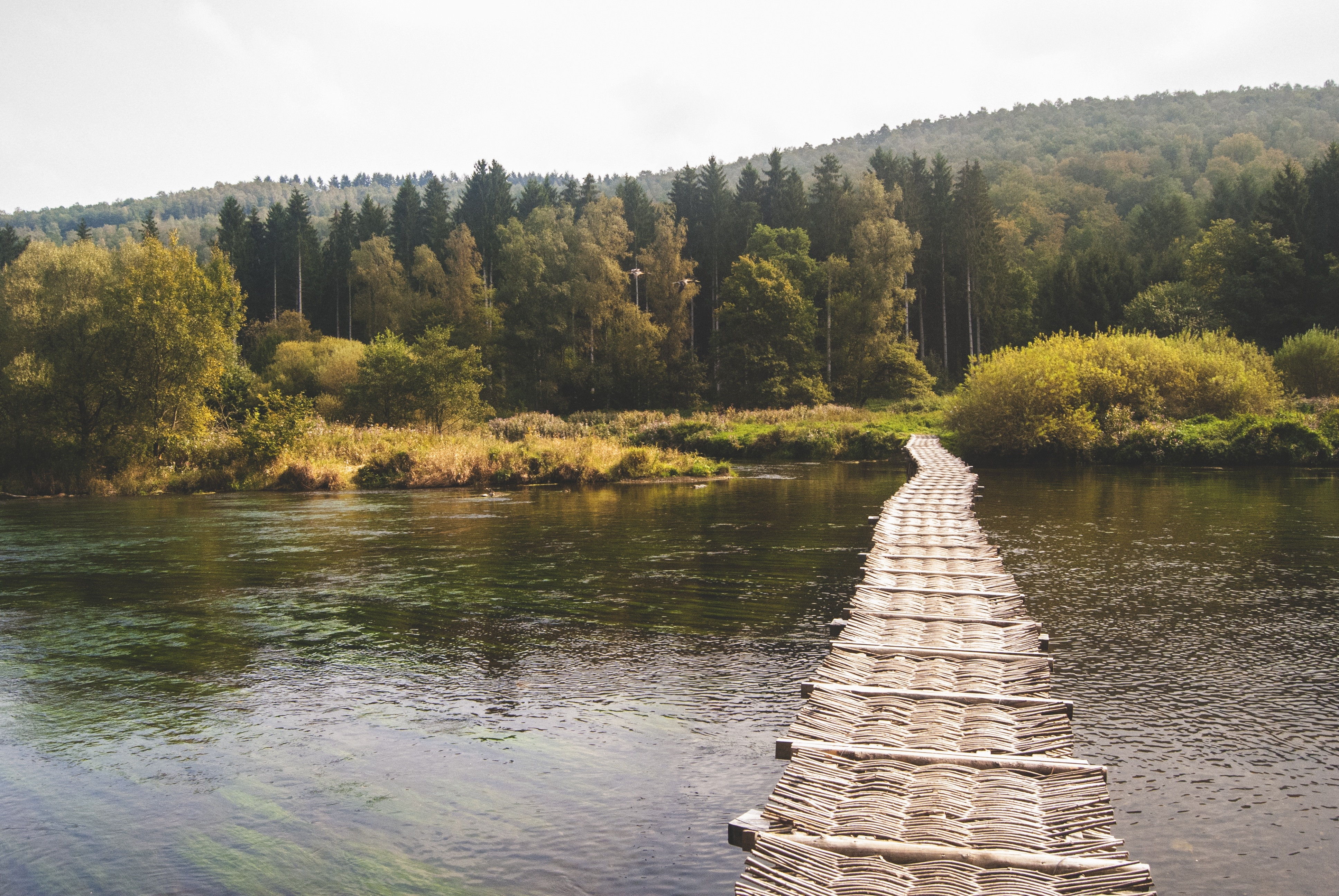 Фото бесплатно река, деревья, деревянный мост