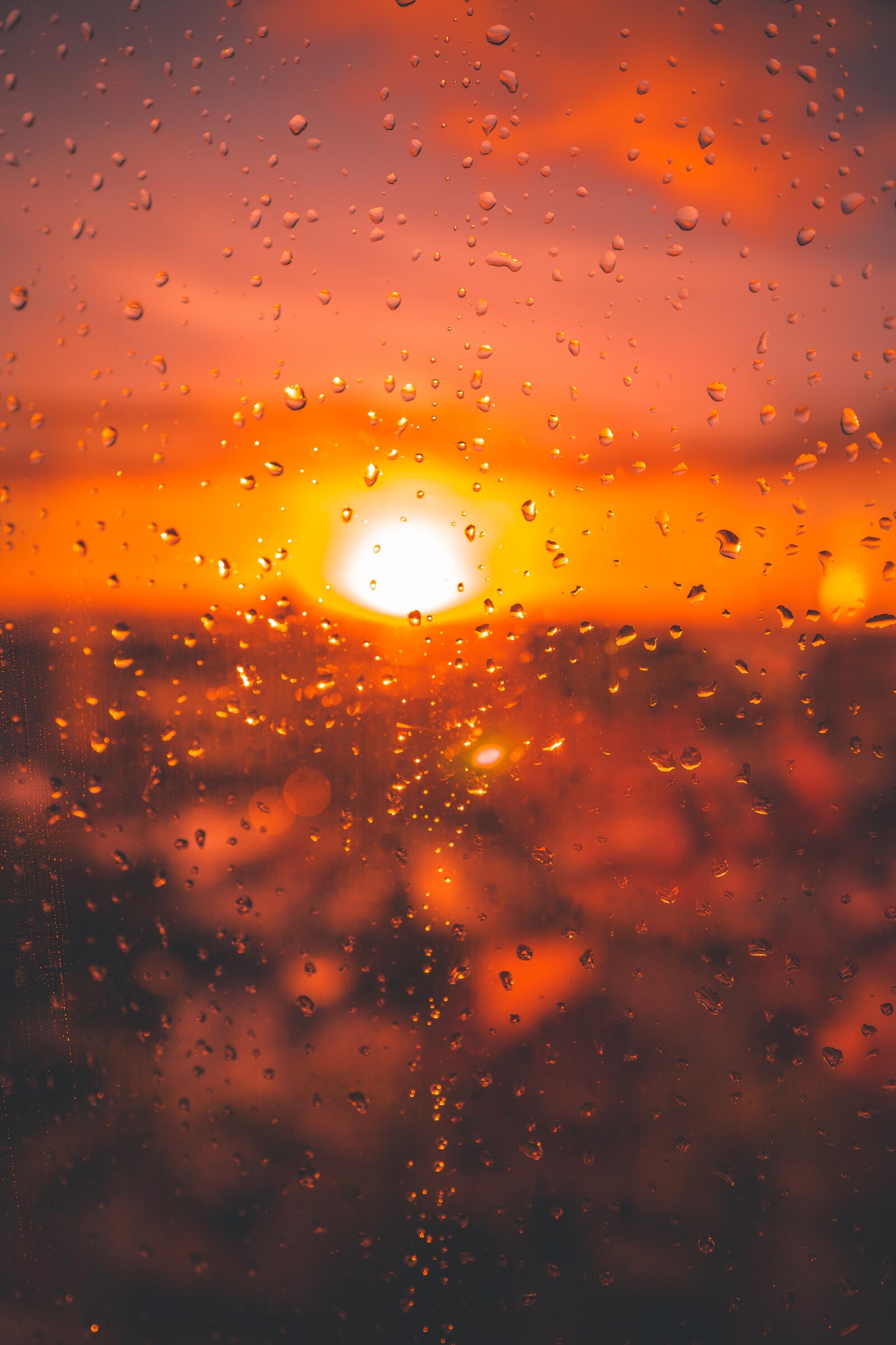Бесплатное фото Закат после дождя