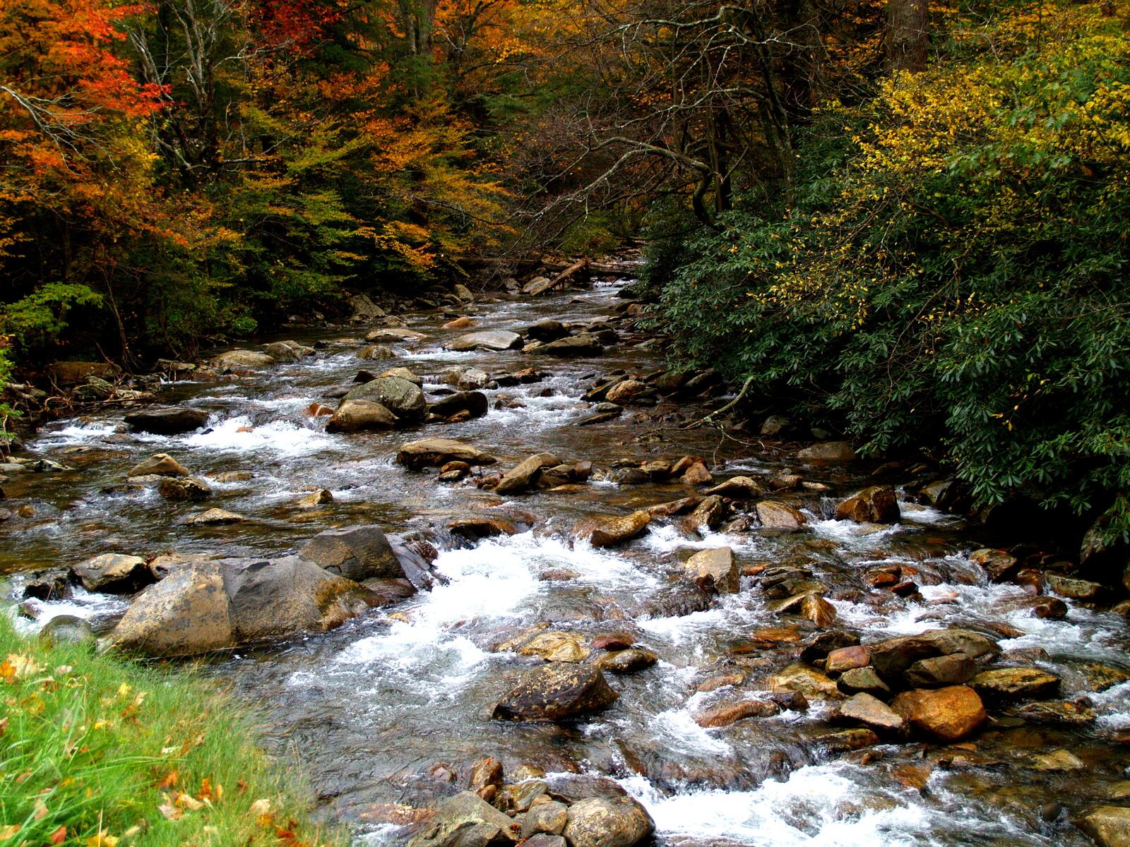 Бесплатное фото Река с сильным течением в каменной местности