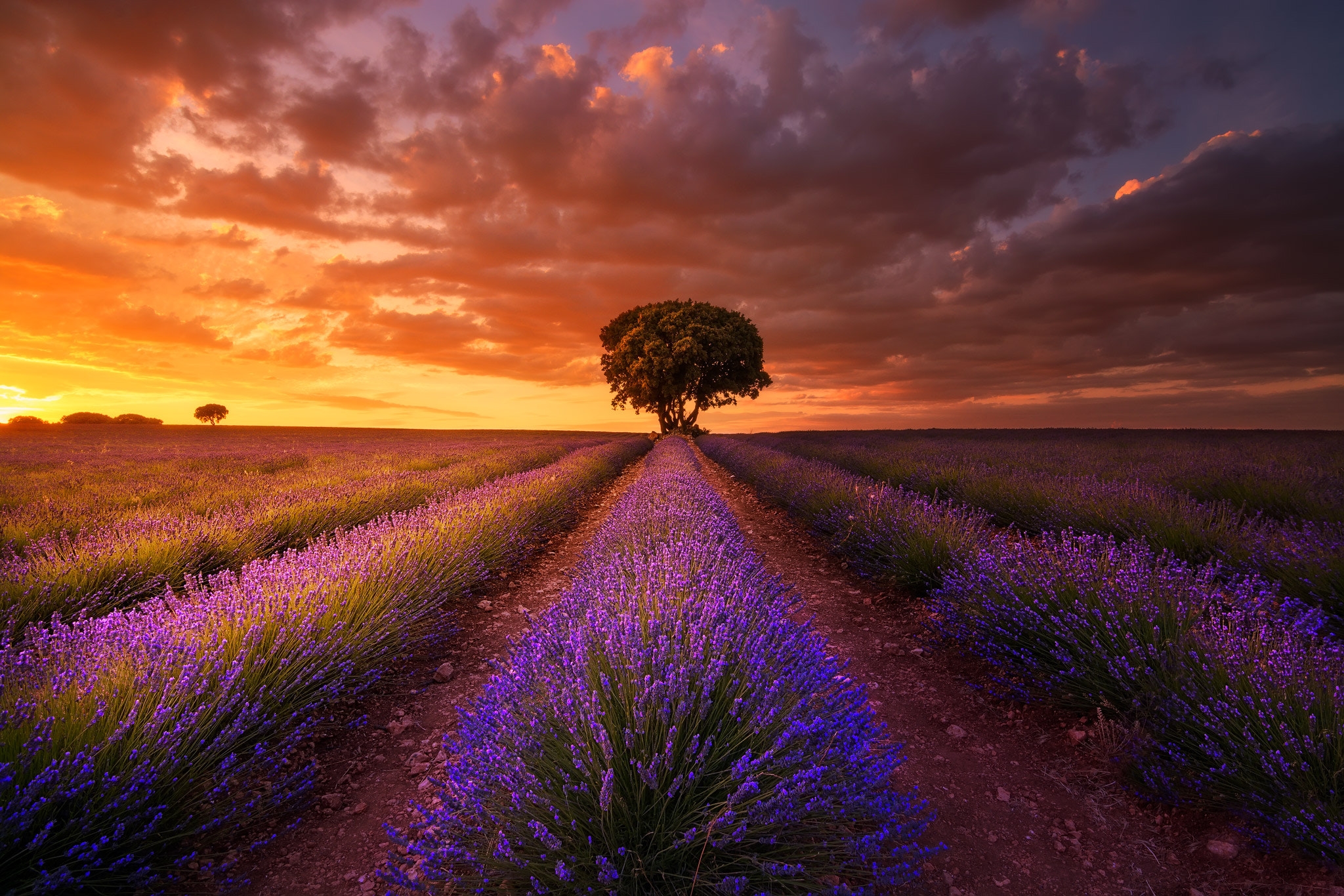 Wallpapers sunset clouds lavender on the desktop