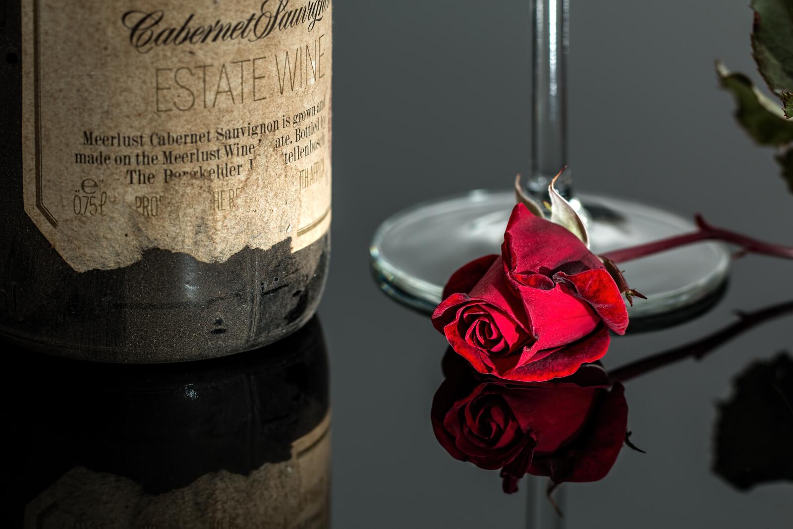 Бесплатное фото роза на столе