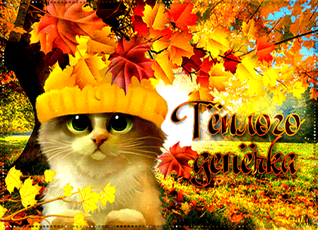 Postcard free day, autumn, kitten
