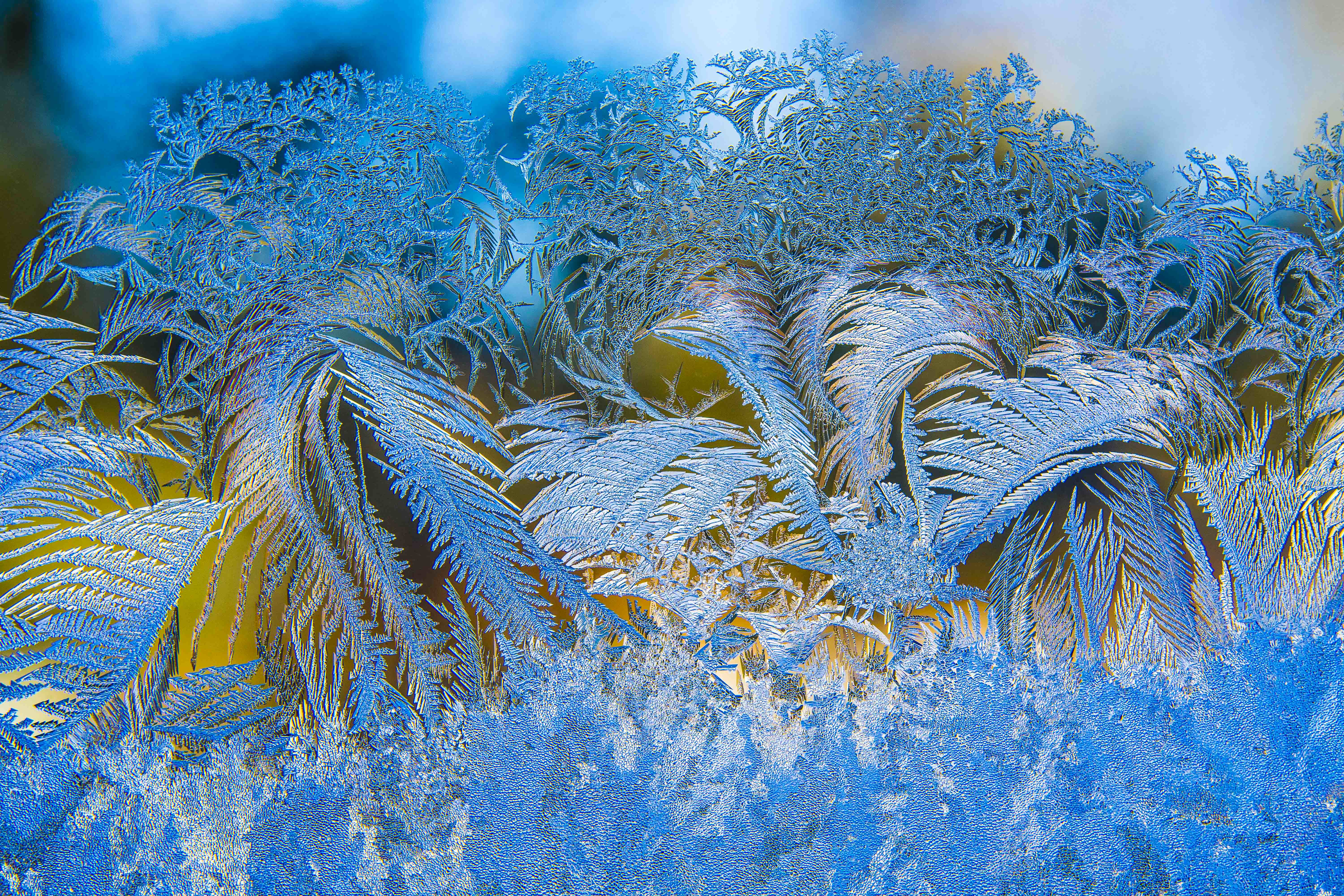 Photo free texture, frozen glass, ice pattern