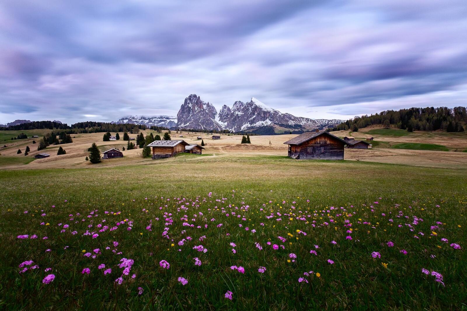 Wallpapers italy dolomite field on the desktop