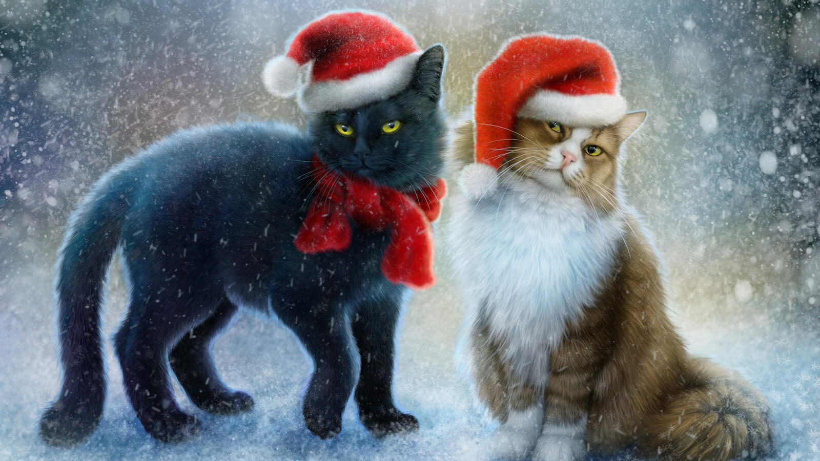 Wallpapers two cats new year`s hat snow on the desktop