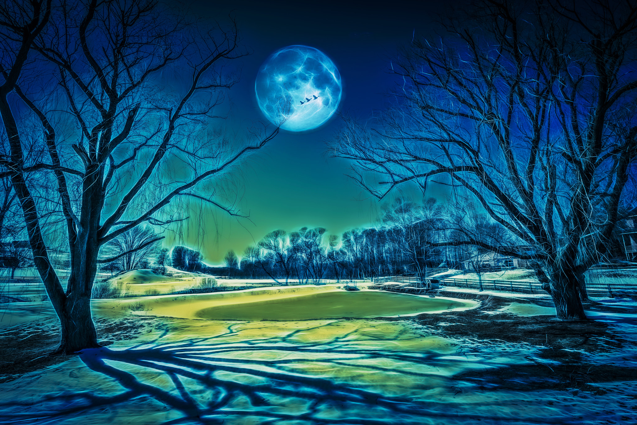 Wallpapers moon trees pond on the desktop