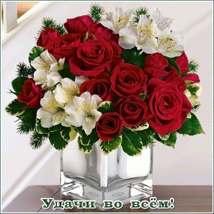 A postcard on the subject of bouquet of roses red roses bouquet for free