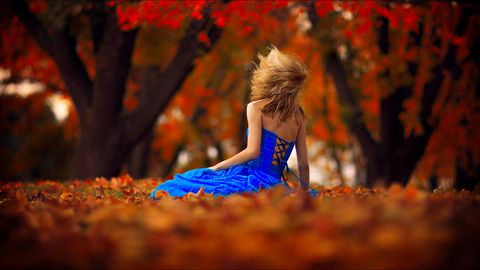 免费照片秋天和穿蓝裙子的女孩