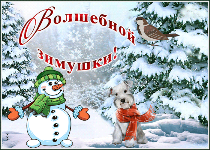 Postcard free have a wonderful winter, a magical winter, birdie