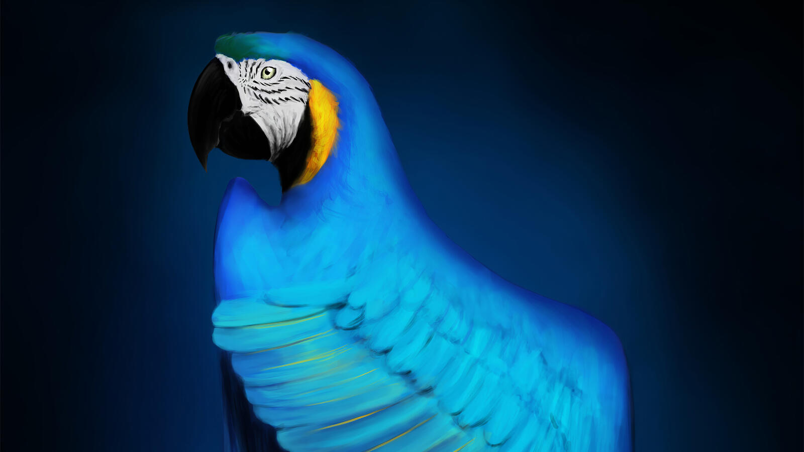 Wallpapers parrot artist Macaw on the desktop